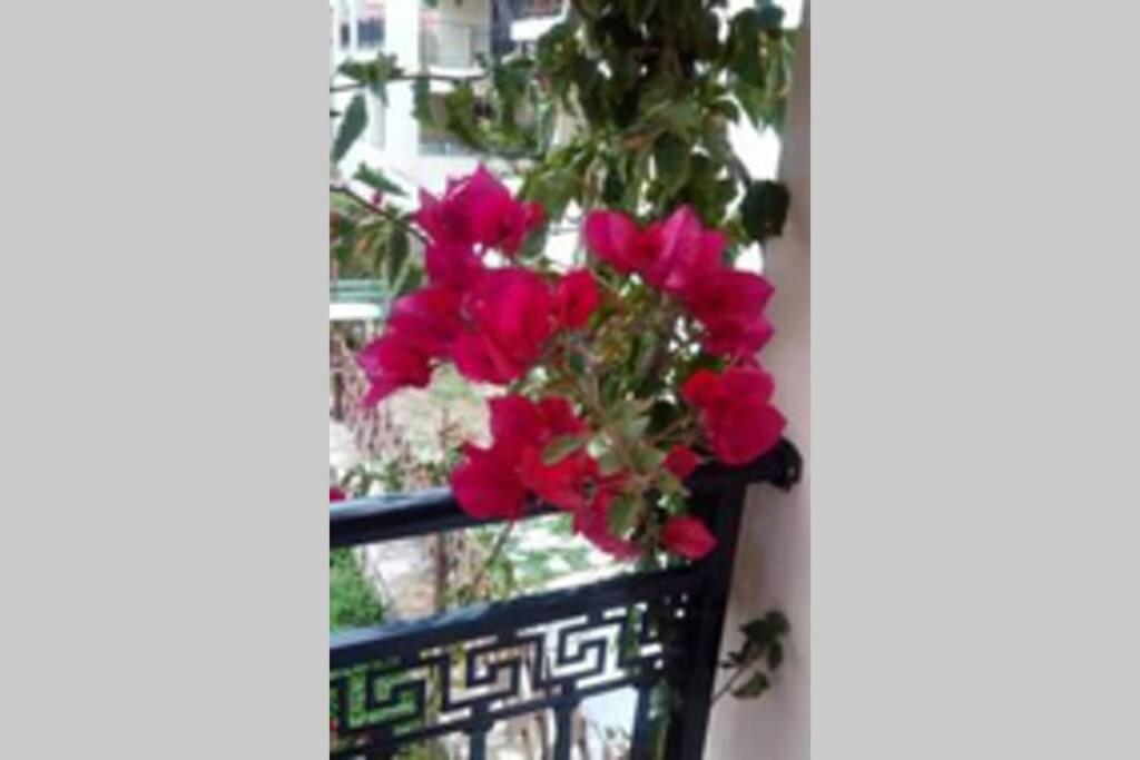 Meandros Apartment Garden View Skopelos Town Exterior photo